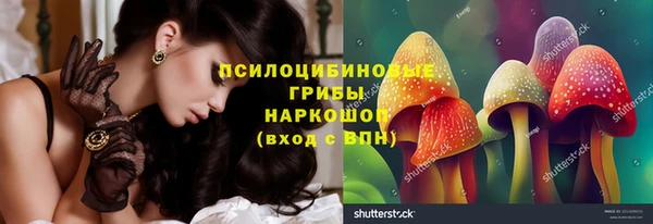 стаф Горнозаводск