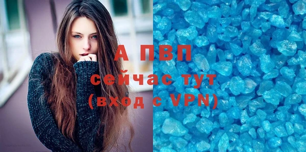 стаф Горнозаводск