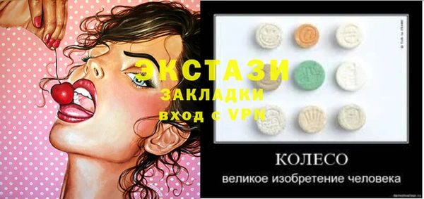 гидра Горно-Алтайск