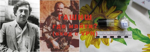 гидра Горно-Алтайск